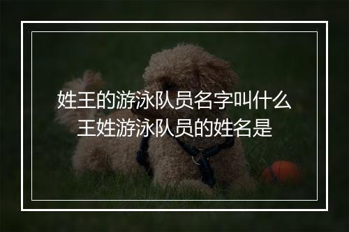 姓王的游泳队员名字叫什么　王姓游泳队员的姓名是