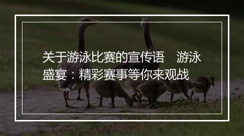 关于游泳比赛的宣传语　游泳盛宴：精彩赛事等你来观战